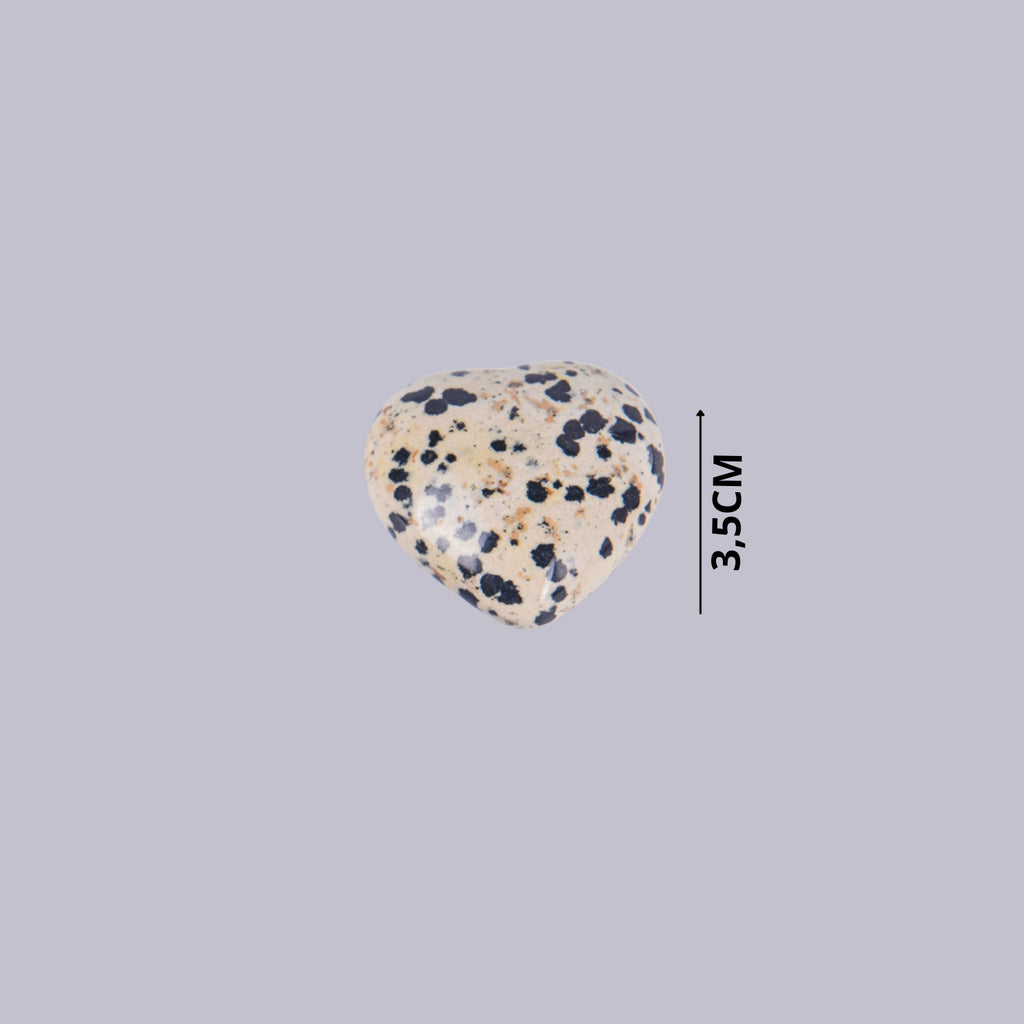 Guía de tamaño de piedra forma de  corazón de Jaspe Dálmata indicando 3,5 cm. Detalle del patrón de manchas negras sobre fondo crema.